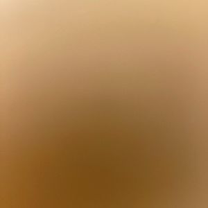 Meet your Posher, Chuong